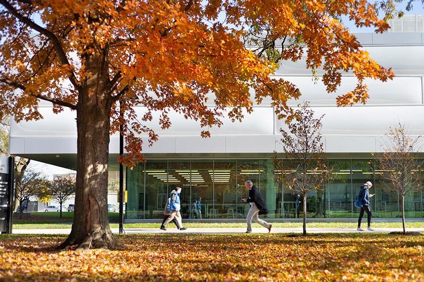 People walking outside in the fall weather on Mies Campus