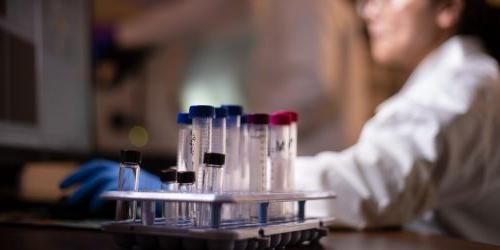 Photo of chemistry student with test tubes working at a computer